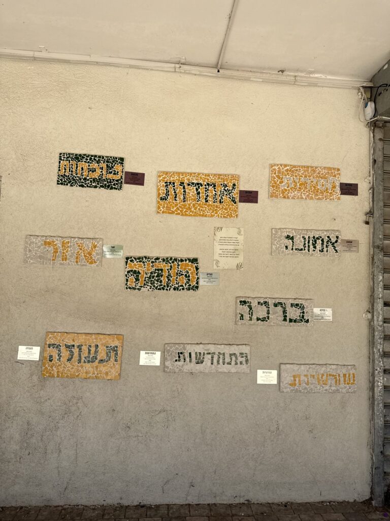 סולו ביחד