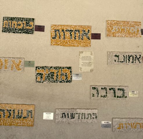 סולו ביחד