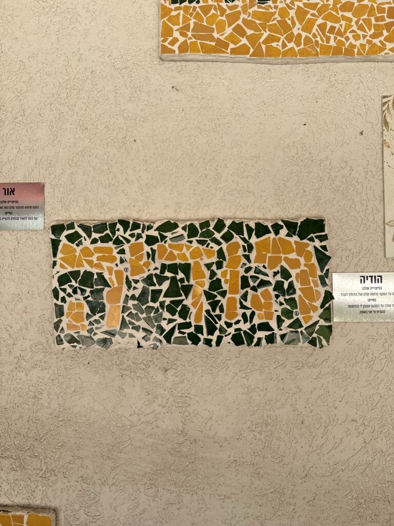 סולו ביחד