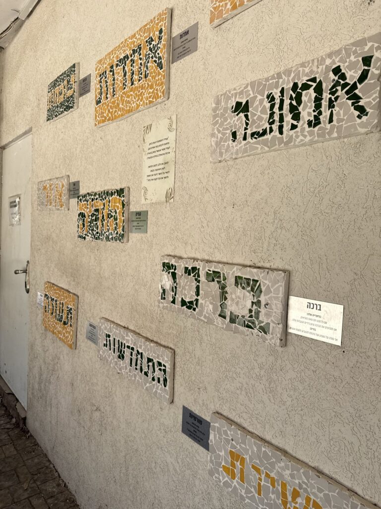 סולו ביחד